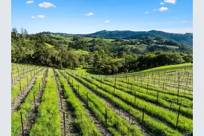 3900 Franz Valley Road, Santa Rosa, CA 95404 - Photo 14