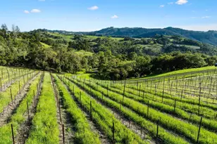 3900 Franz Valley Rd, Santa Rosa, CA 95404 - Photo 14