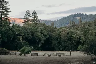 18501 Van Zandt Resort Rd, Philo, CA 95466 - Photo 98