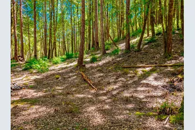 10951 Big Meadow Road, Philo, CA 95466 - Photo 44