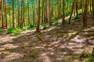 10951 Big Meadow Rd, Philo, CA 95466 - Photo 44