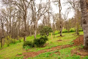 16333 27th Ave, Clearlake, CA 95422 - Photo 8