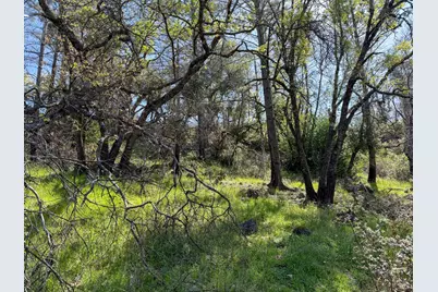 7935 St Helena Road, Santa Rosa, CA 95404 - Photo 10