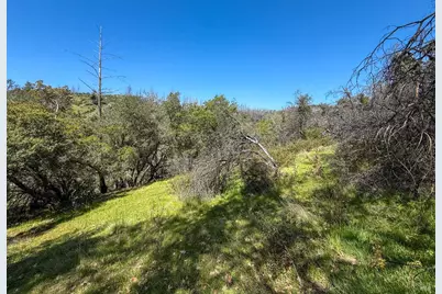 7935 St Helena Road, Santa Rosa, CA 95404 - Photo 14