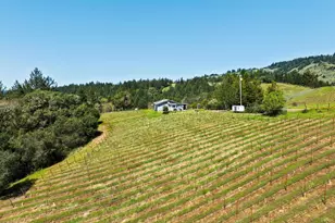 1550 Guntley Rd, Philo, CA 95466 - Photo 6