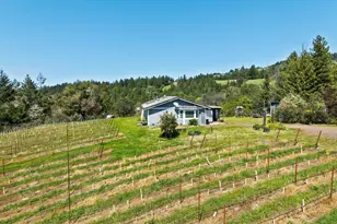 1550 Guntley Rd, Philo, CA 95466 - Photo 8