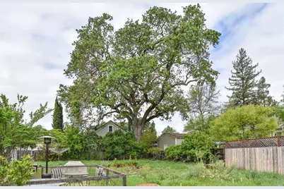 1664 Spring Street, Saint Helena, CA 94574 - Photo 4
