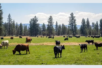 41406 Lonquist Lane, Hat Creek, CA 96040 - Photo 2