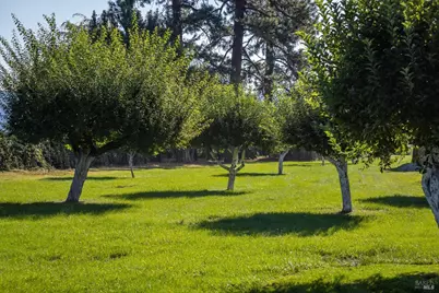 41406 Lonquist Lane, Hat Creek, CA 96040 - Photo 14