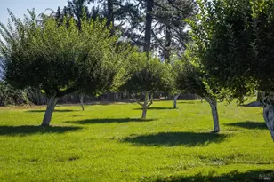 41406 Lonquist Ln, Hat Creek, CA 96040 - Photo 14