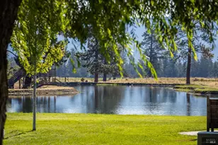 41406 Lonquist Ln, Hat Creek, CA 96040 - Photo 4