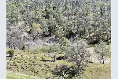 9650 Rocky Creek Road, Lower Lake, CA 95457 - Photo 4
