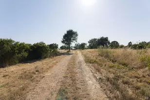 2220 Oakwild Ln, Santa Rosa, CA 95401 - Photo 22