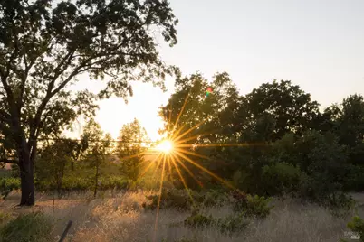 2220 Oakwild Lane, Santa Rosa, CA 95401 - Photo 26