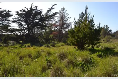 135 Shepherds Close, The Sea Ranch, CA 95497 - Photo 6