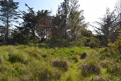 135 Shepherds Close, The Sea Ranch, CA 95497 - Photo 8