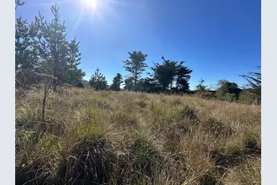 135 Shepherds Close, The Sea Ranch, CA 95497 - Photo 26