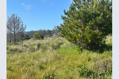 135 Shepherds Close, The Sea Ranch, CA 95497 - Photo 14