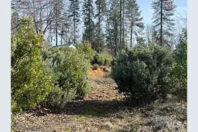 16070 Pine Street, Cobb, CA 95426 - Photo 6