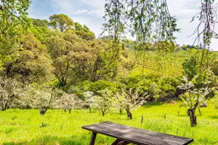 16121 Deer Meadows Rd, Boonville, CA 95415 - Photo 50