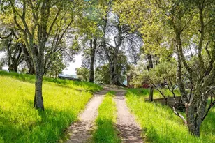 16121 Deer Meadows Rd, Boonville, CA 95415 - Photo 62