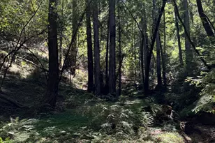 8781 Martinelli Rd, Forestville, CA 95436 - Photo 46