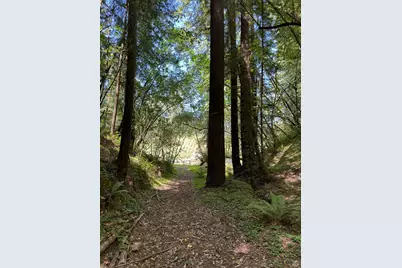 8781 Martinelli Road, Forestville, CA 95436 - Photo 58