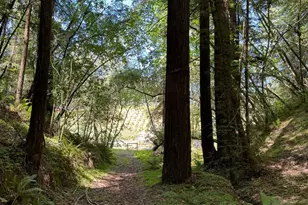 8781 Martinelli Rd, Forestville, CA 95436 - Photo 58