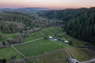 8781 Martinelli Rd, Forestville, CA 95436 - Photo 56