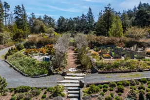 40811 Eureka Hill Rd, Point Arena, CA 95468 - Photo 20