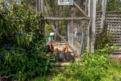 40811 Eureka Hill Road, Point Arena, CA 95468 - Photo 80