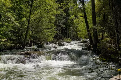 35350 Hwy 36E, Paynes Creek, CA 96075 - Photo 6