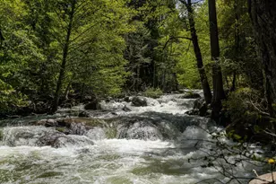 35350 Hwy 36 E, Paynes Creek, CA 96075 - Photo 6