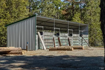 35350 Hwy 36E, Paynes Creek, CA 96075 - Photo 16