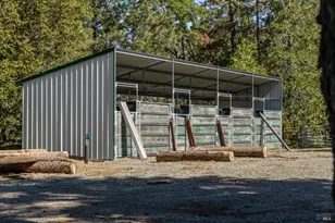 35350 Hwy 36 E, Paynes Creek, CA 96075 - Photo 16