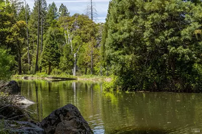 35350 Hwy 36E, Paynes Creek, CA 96075 - Photo 30