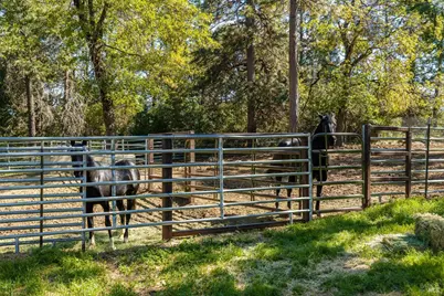 35350 Hwy 36E, Paynes Creek, CA 96075 - Photo 20