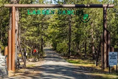 35350 Hwy 36E, Paynes Creek, CA 96075 - Photo 4