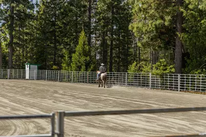 35350 Hwy 36E, Paynes Creek, CA 96075 - Photo 24