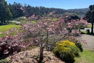 44920 Little Lake Rd, Mendocino, CA 95460 - Photo 40