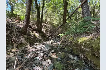 38401 Upper Road, Willits, CA 95490 - Photo 12