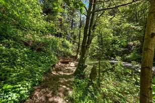 10 Wildwood Ln, Cazadero, CA 95421 - Photo 28