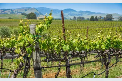 1150 Bayview Avenue, Napa, CA 94559 - Photo 8