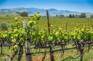 1150 Bayview Ave, Napa, CA 94559 - Photo 8