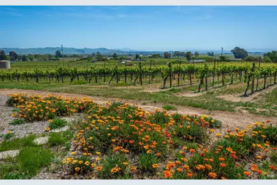 1150 Bayview Avenue, Napa, CA 94559 - Photo 56