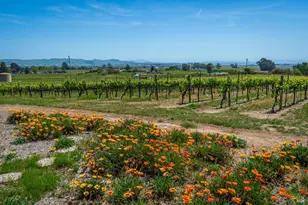 1150 Bayview Ave, Napa, CA 94559 - Photo 56