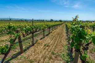 1150 Bayview Ave, Napa, CA 94559 - Photo 58