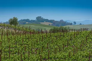 1150 Bayview Ave, Napa, CA 94559 - Photo 6