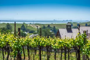 1150 Bayview Ave, Napa, CA 94559 - Photo 60