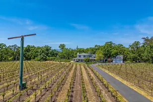 1079 Hedgeside Ave, Napa, CA 94558 - Photo 74